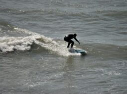 New Surfer