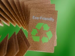 Eco-Friendly Practices in Business Driving Growth with Sustainability