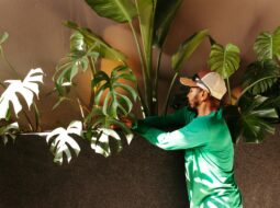 Eco-Friendly Practice