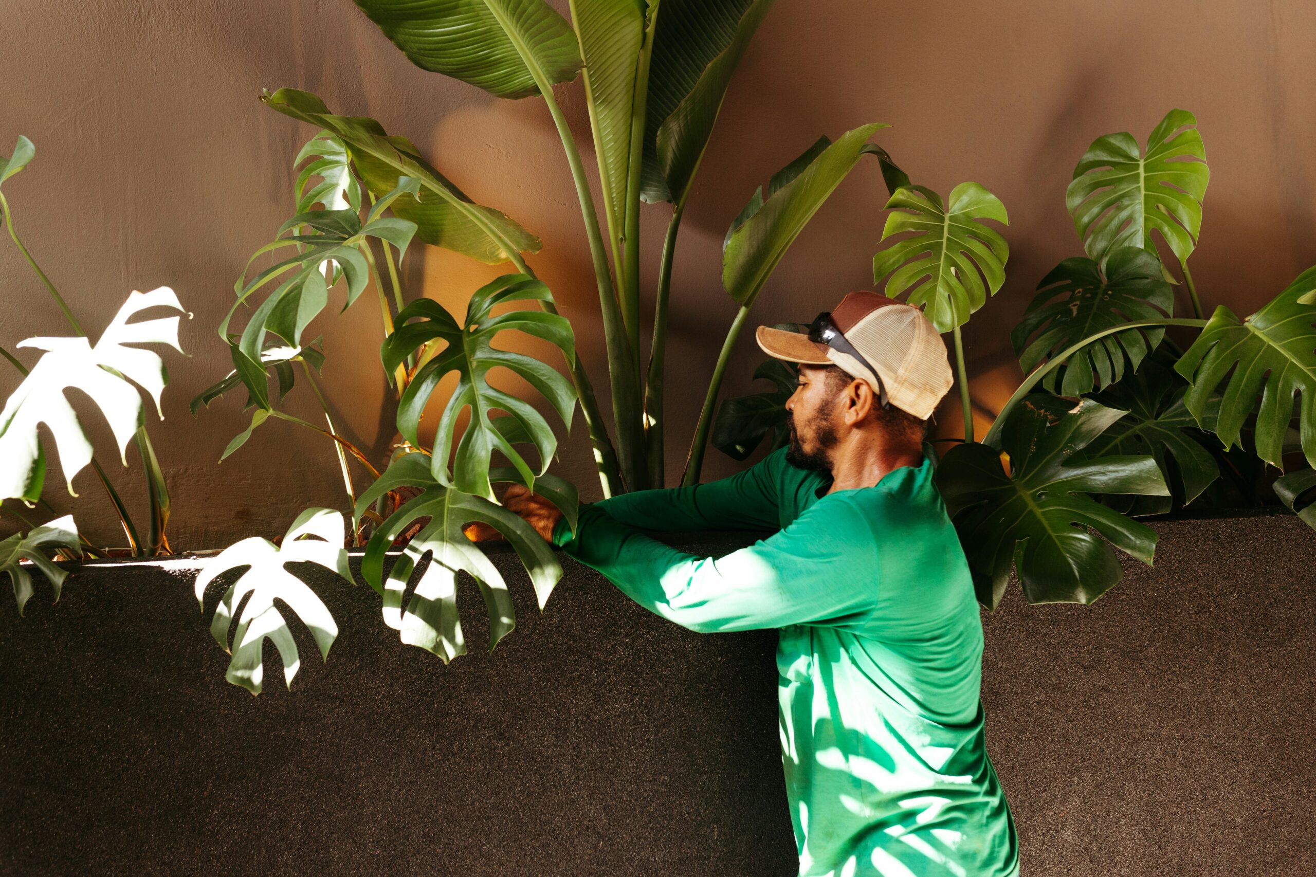 Eco-Friendly Practice