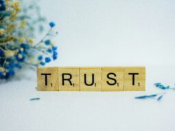 Thriving On Trust And Human Connections: Advisor Associate's Ben McCollum Redefines Business Dynamics